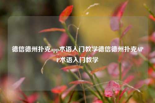 德信德州扑克app术语入门教学德信德州扑克APP术语入门教学