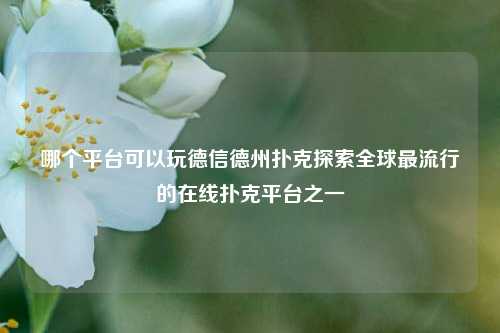 哪个平台可以玩德信德州扑克探索全球最流行的在线扑克平台之一