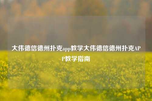 大伟德信德州扑克app教学大伟德信德州扑克APP教学指南