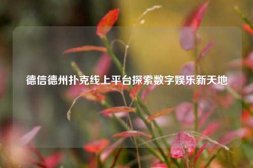德信德州扑克线上平台探索数字娱乐新天地