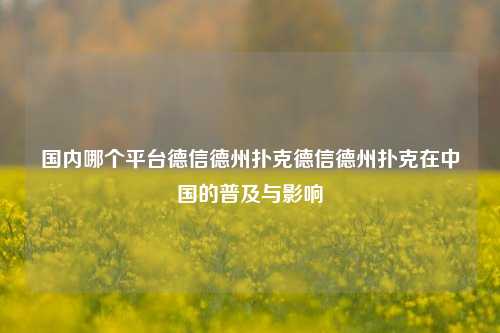 国内哪个平台德信德州扑克德信德州扑克在中国的普及与影响