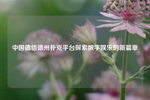 中国德信德州扑克平台探索数字娱乐的新篇章