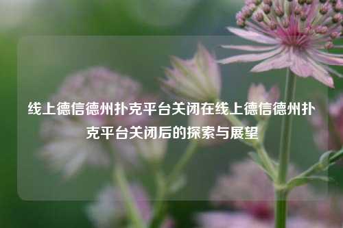 线上德信德州扑克平台关闭在线上德信德州扑克平台关闭后的探索与展望