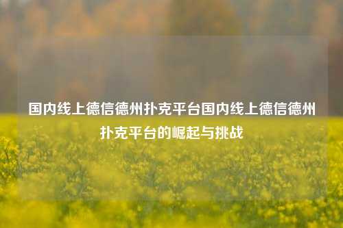 国内线上德信德州扑克平台国内线上德信德州扑克平台的崛起与挑战