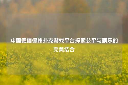 中国德信德州扑克游戏平台探索公平与娱乐的完美结合