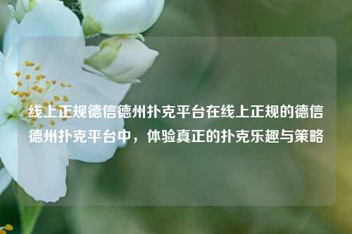 线上正规德信德州扑克平台在线上正规的德信德州扑克平台中，体验真正的扑克乐趣与策略