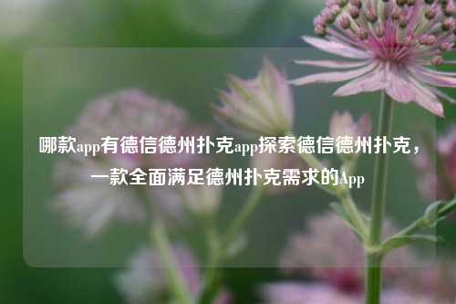 哪款app有德信德州扑克app探索德信德州扑克，一款全面满足德州扑克需求的App