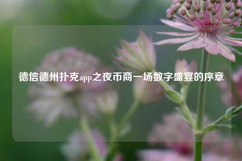 德信德州扑克app之夜币商一场数字盛宴的序章