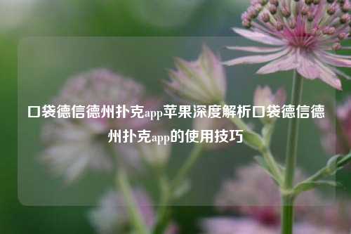 口袋德信德州扑克app苹果深度解析口袋德信德州扑克app的使用技巧