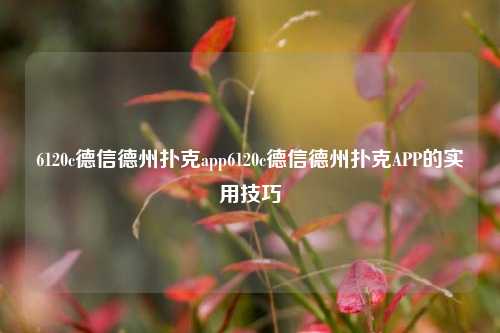 6120c德信德州扑克app6120c德信德州扑克APP的实用技巧