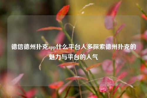 德信德州扑克app什么平台人多探索德州扑克的魅力与平台的人气