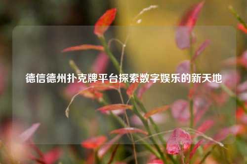 德信德州扑克牌平台探索数字娱乐的新天地