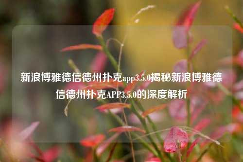 新浪博雅德信德州扑克app3.5.0揭秘新浪博雅德信德州扑克APP3.5.0的深度解析