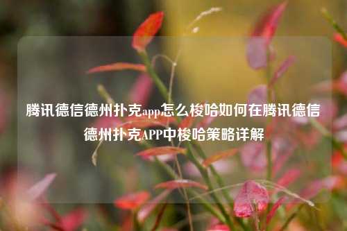 腾讯德信德州扑克app怎么梭哈如何在腾讯德信德州扑克APP中梭哈策略详解