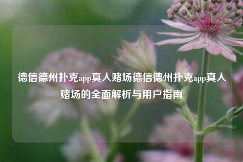 德信德州扑克app真人赌场德信德州扑克app真人赌场的全面解析与用户指南