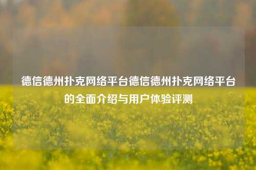 德信德州扑克网络平台德信德州扑克网络平台的全面介绍与用户体验评测