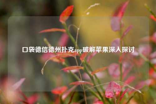 口袋德信德州扑克app破解苹果深入探讨