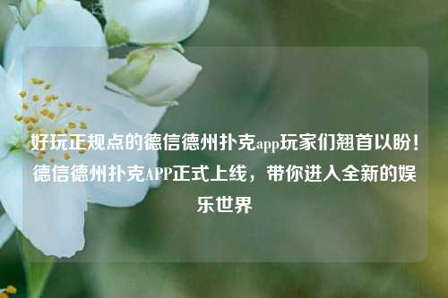 好玩正规点的德信德州扑克app玩家们翘首以盼！德信德州扑克APP正式上线，带你进入全新的娱乐世界
