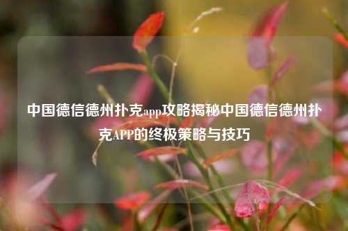 中国德信德州扑克app攻略揭秘中国德信德州扑克APP的终极策略与技巧