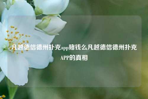 凡越德信德州扑克app赌钱么凡越德信德州扑克APP的真相