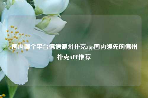 国内哪个平台德信德州扑克app国内领先的德州扑克APP推荐