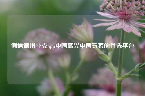 德信德州扑克app中国高兴中国玩家的首选平台