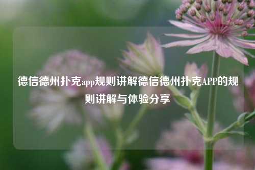 德信德州扑克app规则讲解德信德州扑克APP的规则讲解与体验分享