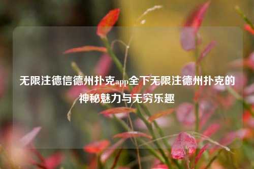 无限注德信德州扑克app全下无限注德州扑克的神秘魅力与无穷乐趣