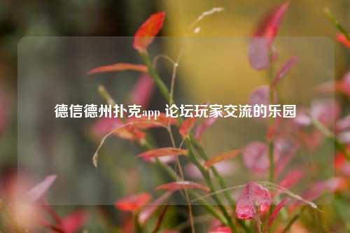德信德州扑克app 论坛玩家交流的乐园