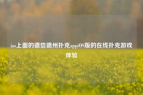ios上面的德信德州扑克appiOS版的在线扑克游戏体验