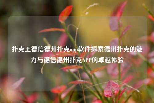 扑克王德信德州扑克app软件探索德州扑克的魅力与德信德州扑克APP的卓越体验