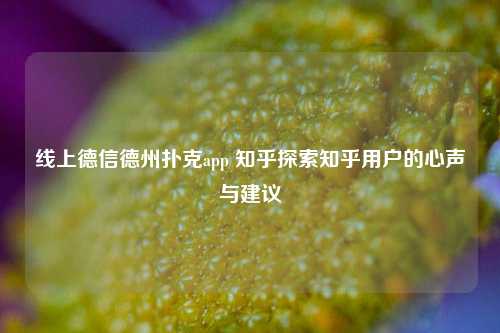 线上德信德州扑克app 知乎探索知乎用户的心声与建议