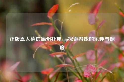 正版真人德信德州扑克app探索游戏的乐趣与深度