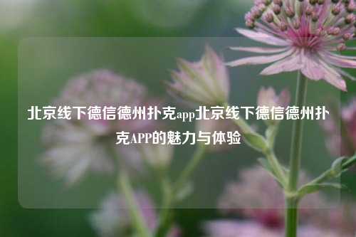 北京线下德信德州扑克app北京线下德信德州扑克APP的魅力与体验