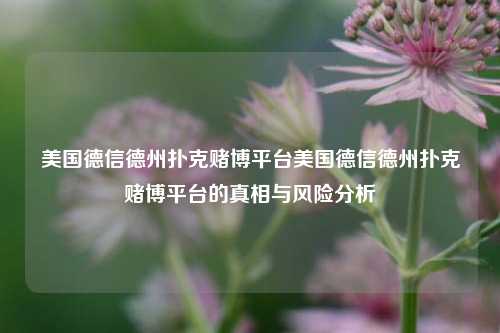美国德信德州扑克赌博平台美国德信德州扑克赌博平台的真相与风险分析