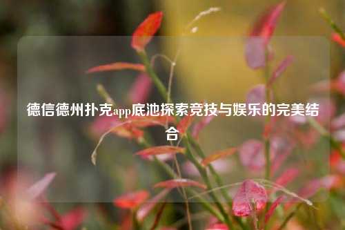 德信德州扑克app底池探索竞技与娱乐的完美结合