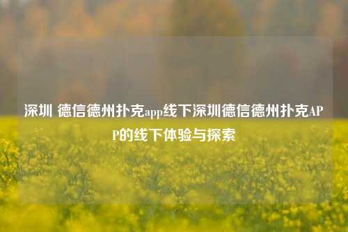 深圳 德信德州扑克app线下深圳德信德州扑克APP的线下体验与探索