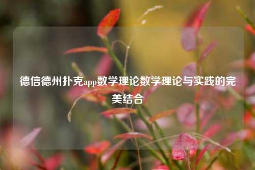 德信德州扑克app数学理论数学理论与实践的完美结合