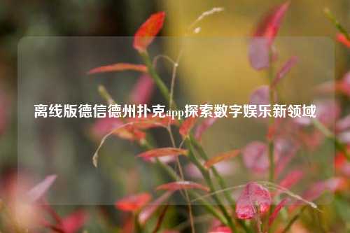 离线版德信德州扑克app探索数字娱乐新领域