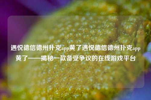 遇悦德信德州扑克app黄了遇悦德信德州扑克app黄了——揭秘一款备受争议的在线游戏平台