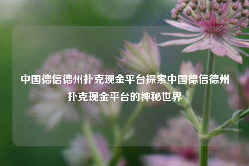 中国德信德州扑克现金平台探索中国德信德州扑克现金平台的神秘世界