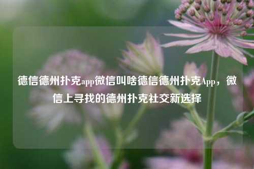 德信德州扑克app微信叫啥德信德州扑克App，微信上寻找的德州扑克社交新选择
