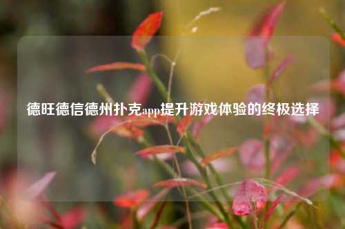 德旺德信德州扑克app提升游戏体验的终极选择