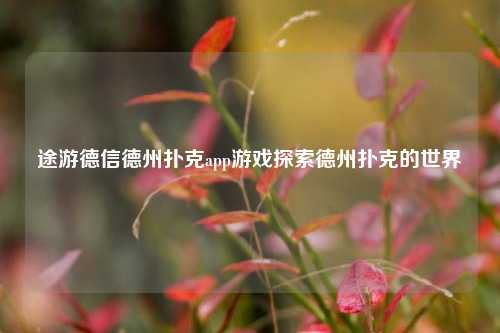 途游德信德州扑克app游戏探索德州扑克的世界