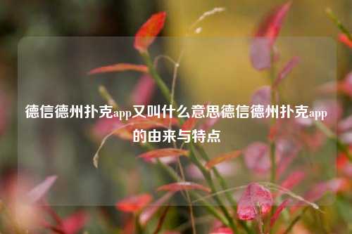 德信德州扑克app又叫什么意思德信德州扑克app的由来与特点