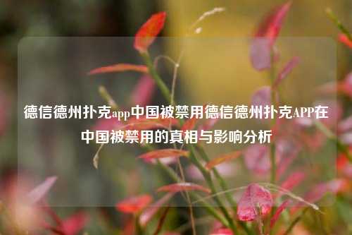 德信德州扑克app中国被禁用德信德州扑克APP在中国被禁用的真相与影响分析