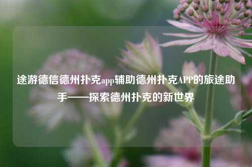 途游德信德州扑克app辅助德州扑克APP的旅途助手——探索德州扑克的新世界