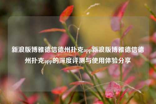 新浪版博雅德信德州扑克app新浪版博雅德信德州扑克app的深度评测与使用体验分享