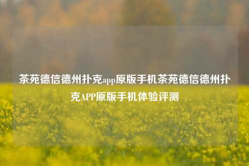 茶苑德信德州扑克app原版手机茶苑德信德州扑克APP原版手机体验评测