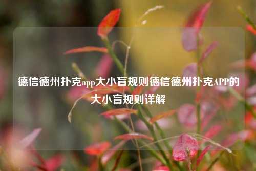 德信德州扑克app大小盲规则德信德州扑克APP的大小盲规则详解